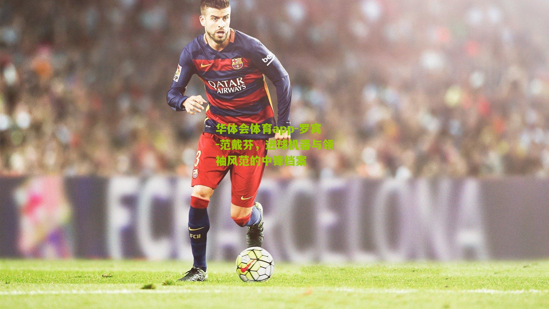 华体会体育app-罗宾-范戴芬，进球机器与领袖风范的中锋档案